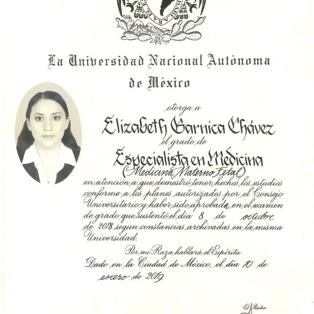 Ampliar imagen: certificate 2