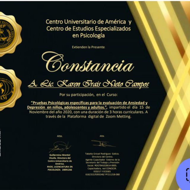 Ampliar imagen: certificate 4