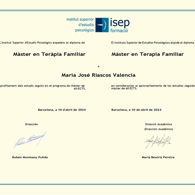 Ampliar imagen: certificate 1