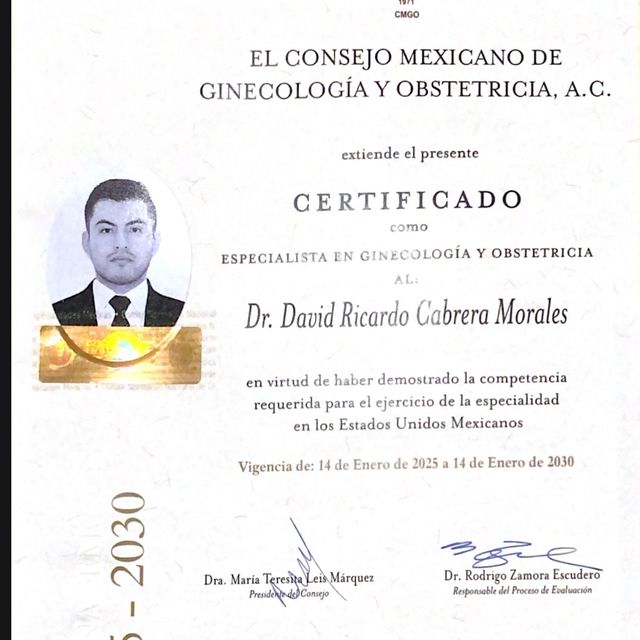 Ampliar imagen: certificate 1