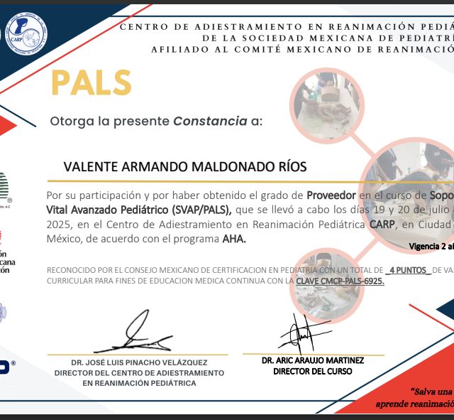 Ampliar imagen: certificate 23