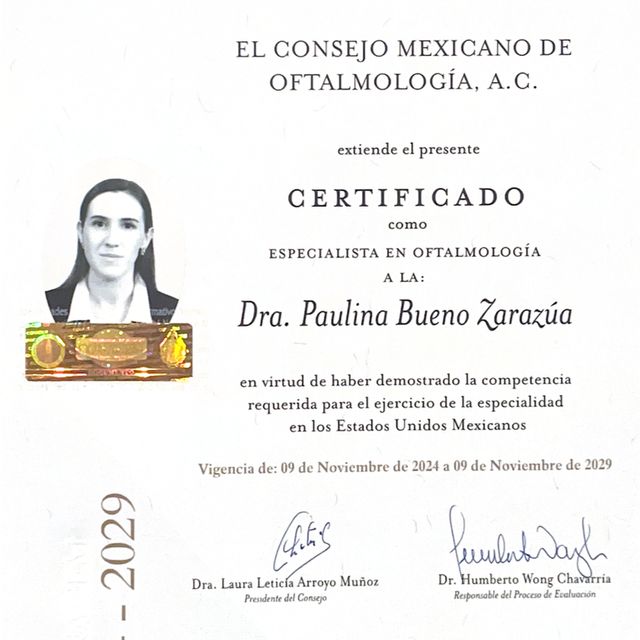 Ampliar imagen: certificate 1