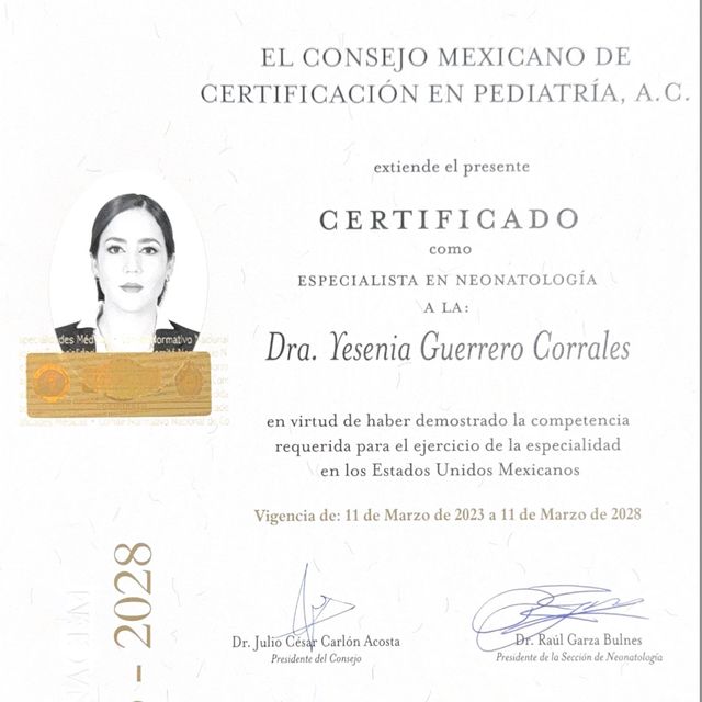 Ampliar imagen: certificate 1