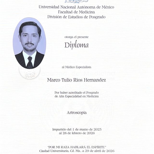 Ampliar imagen: certificate 1