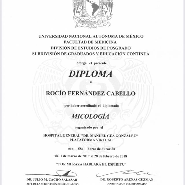 Ampliar imagen: certificate 2