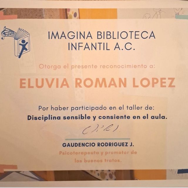 Ampliar imagen: certificate 4