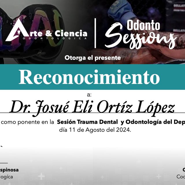 Ampliar imagen: certificate 14