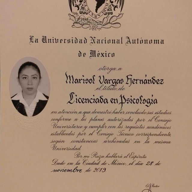 Ampliar imagen: certificate 11