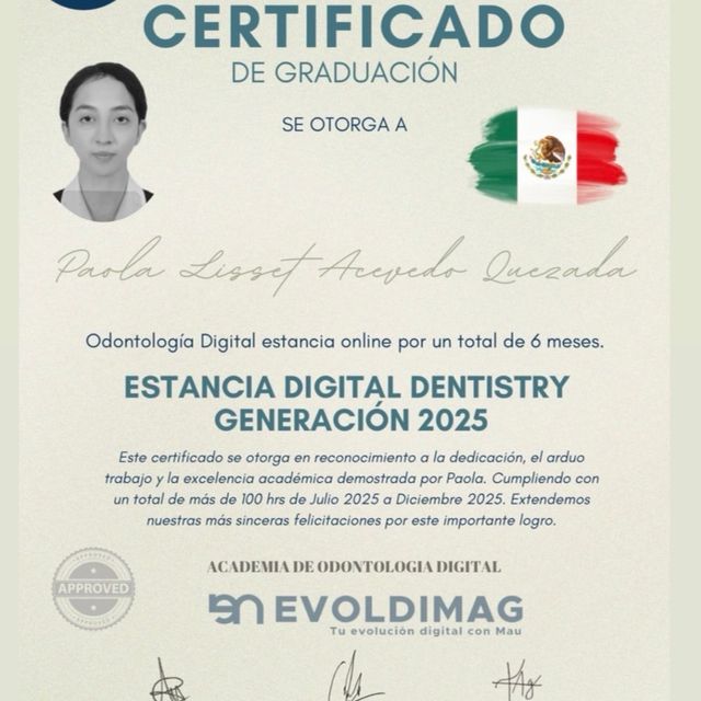 Ampliar imagen: certificate 5