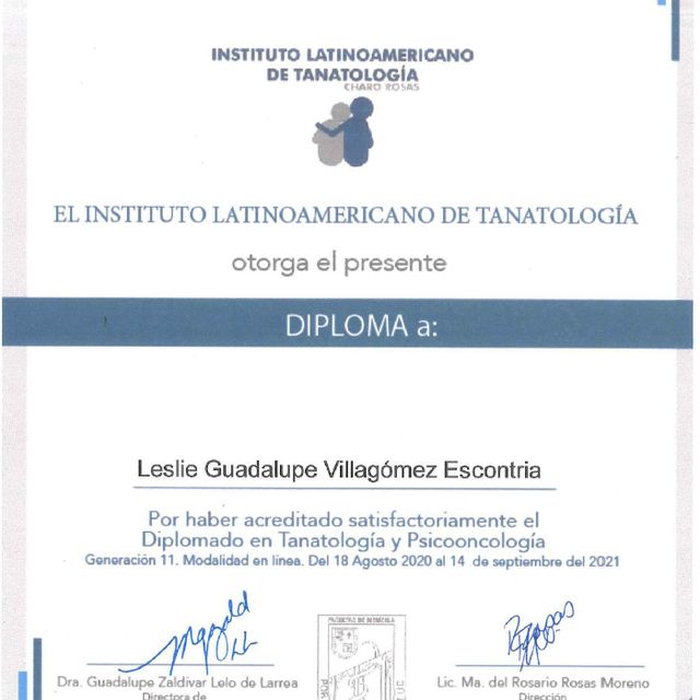 Ampliar imagen: certificate 2