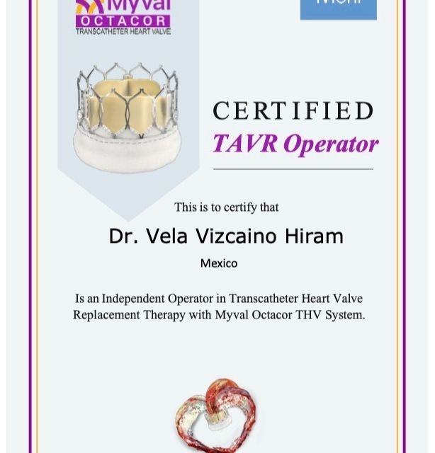 Ampliar imagen: certificate 13