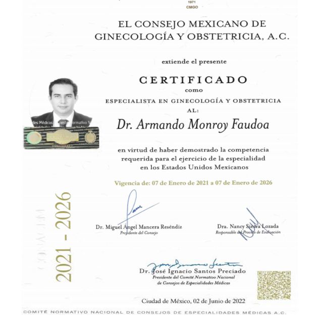 Ampliar imagen: certificate 2