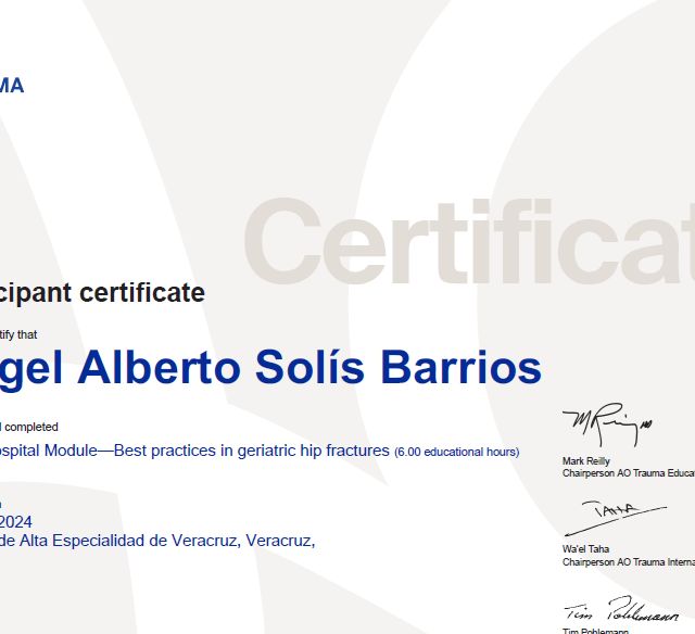 Ampliar imagen: certificate 7
