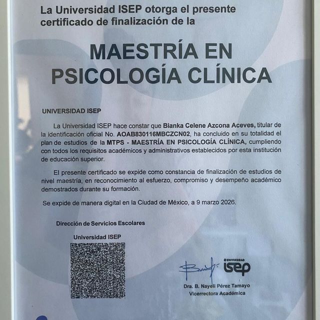 Ampliar imagen: certificate 3