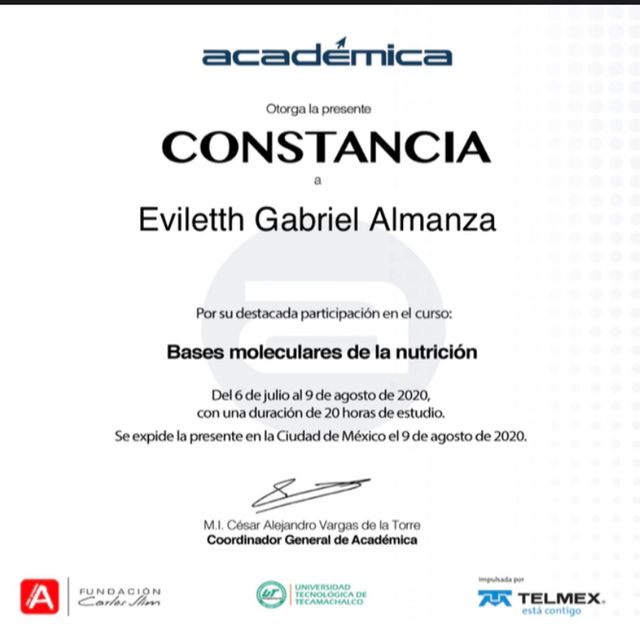 Ampliar imagen: certificate 4