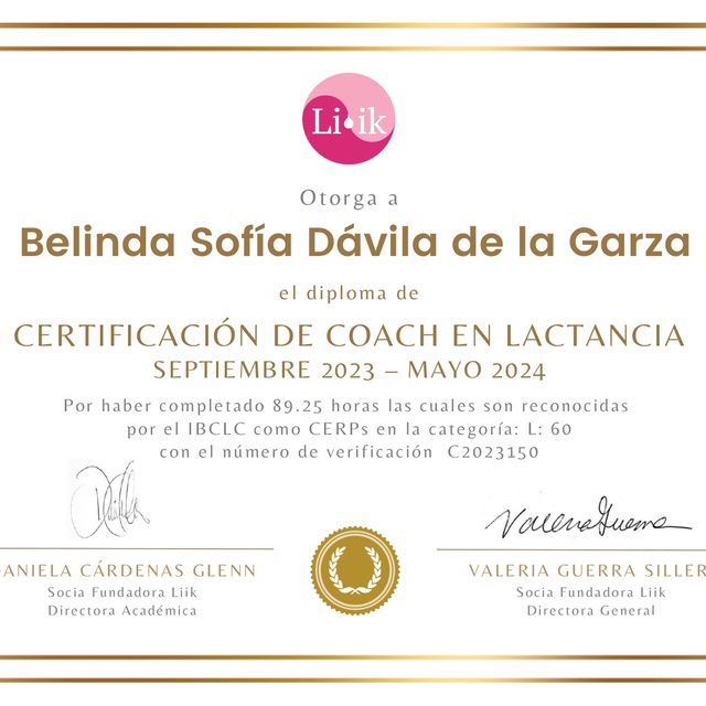 Ampliar imagen: certificate 1