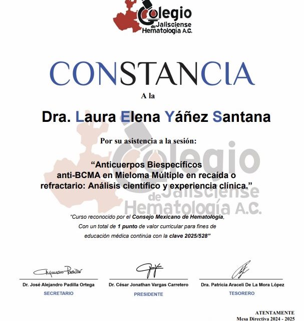 Ampliar imagen: certificate 25