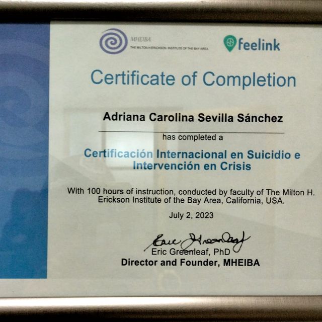 Ampliar imagen: certificate 8