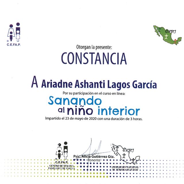 Ampliar imagen: certificate 13