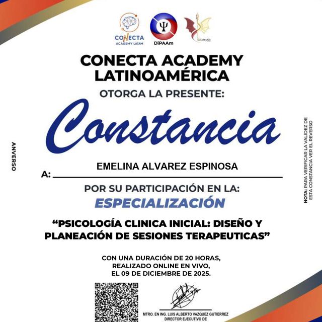 Ampliar imagen: certificate 3