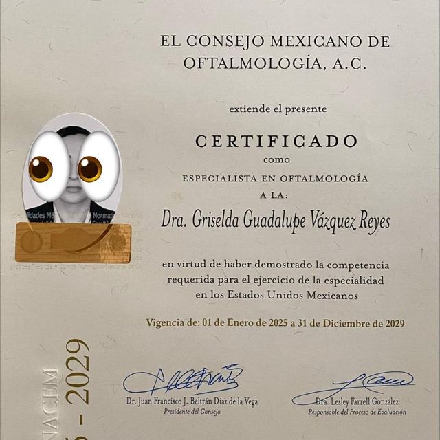 Ampliar imagen: certificate 1