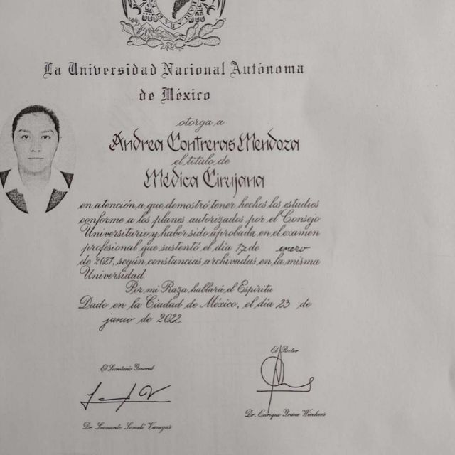 Ampliar imagen: certificate 2