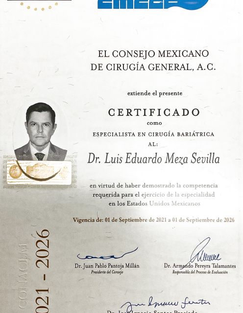 Ampliar imagen: certificate 3