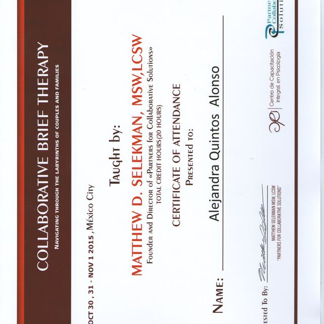 Ampliar imagen: certificate 7
