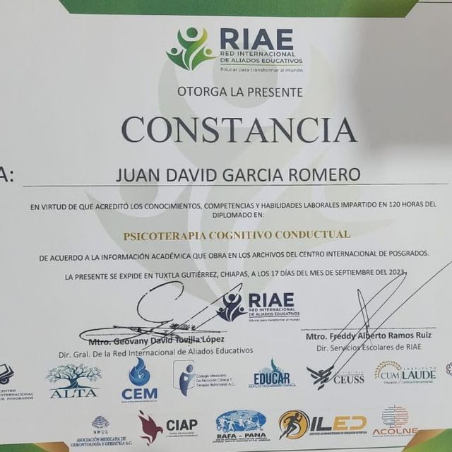 Ampliar imagen: certificate 11