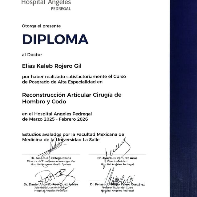 Ampliar imagen: certificate 2