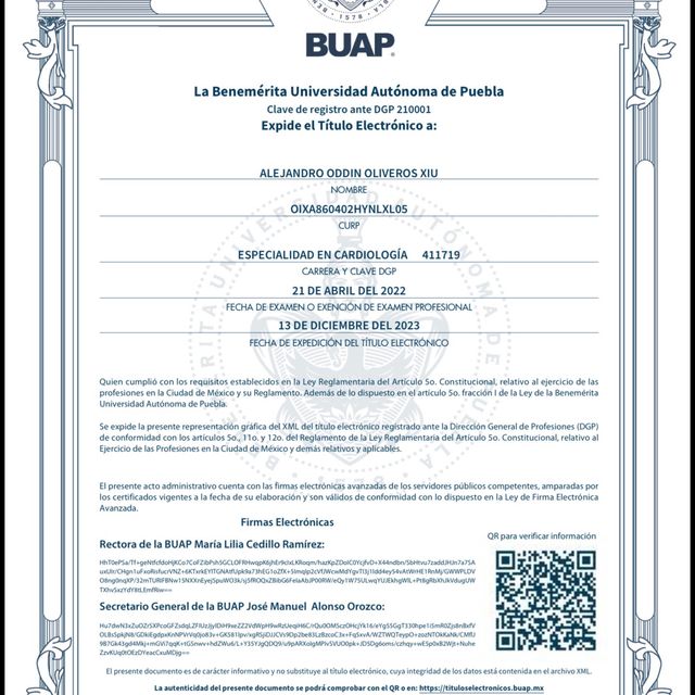Ampliar imagen: certificate 3