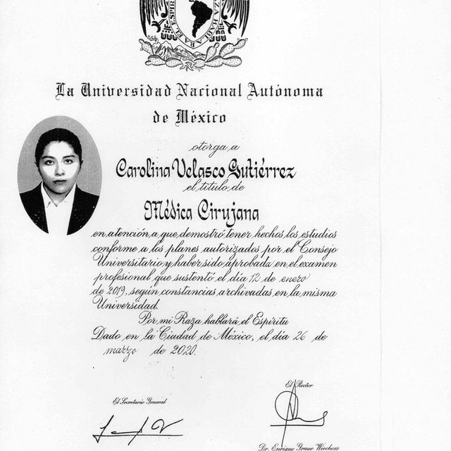 Ampliar imagen: certificate 1