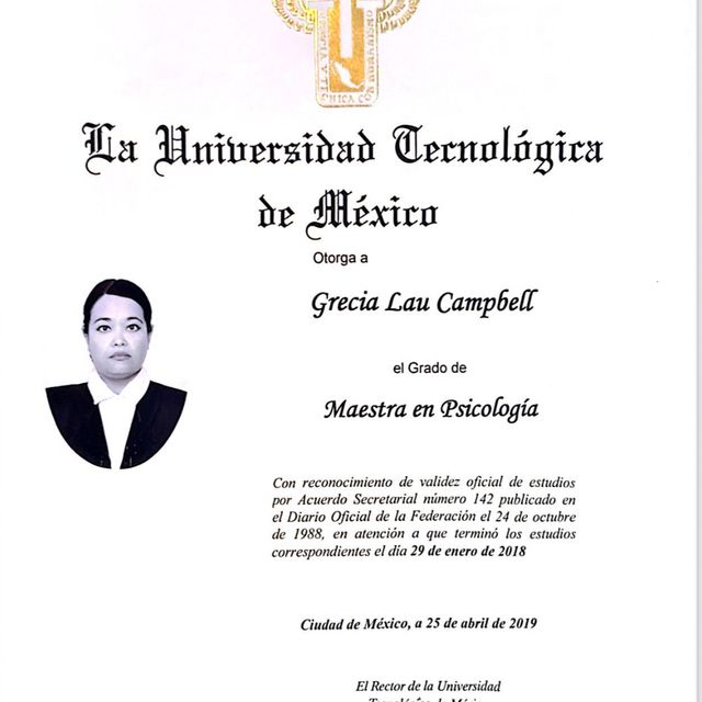 Ampliar imagen: certificate 5