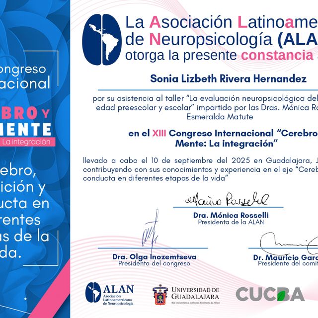 Ampliar imagen: certificate 3