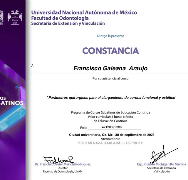 Ampliar imagen: certificate 2