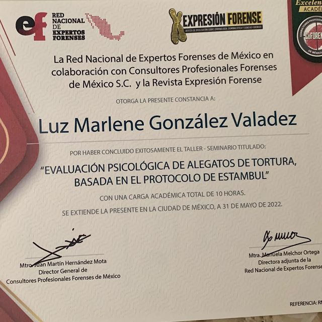 Ampliar imagen: certificate 5