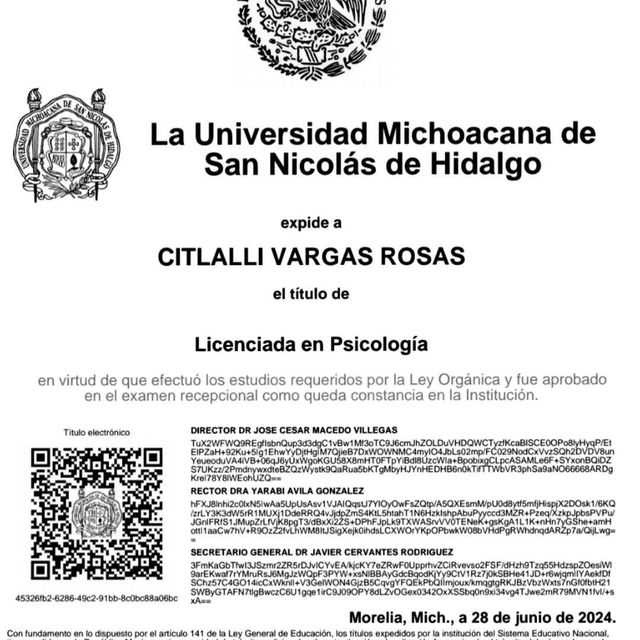 Ampliar imagen: certificate 3
