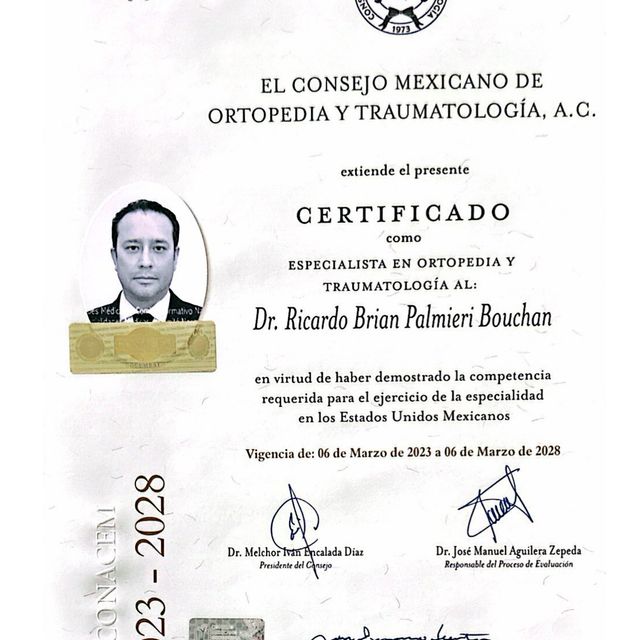 Ampliar imagen: certificate 3