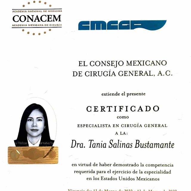 Ampliar imagen: certificate 1