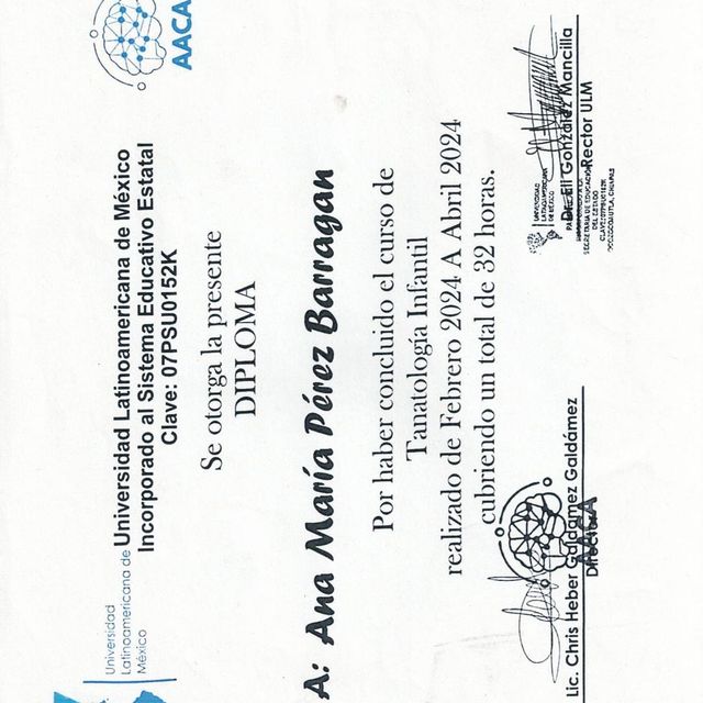 Ampliar imagen: certificate 9