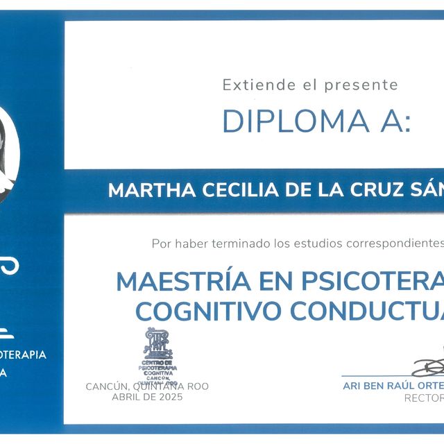 Ampliar imagen: certificate 1