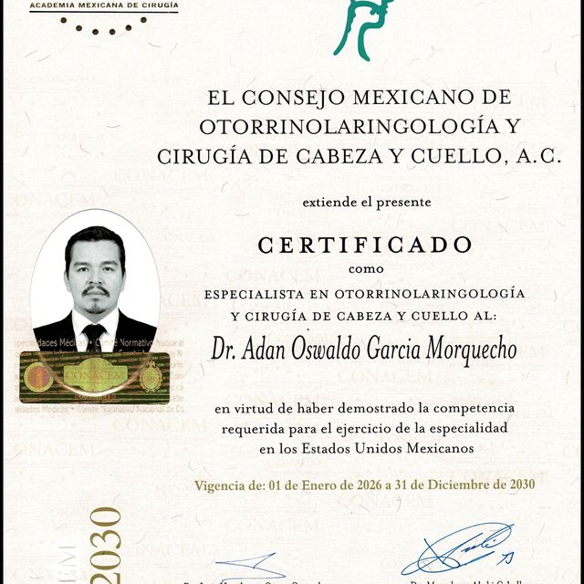 Ampliar imagen: certificate 5