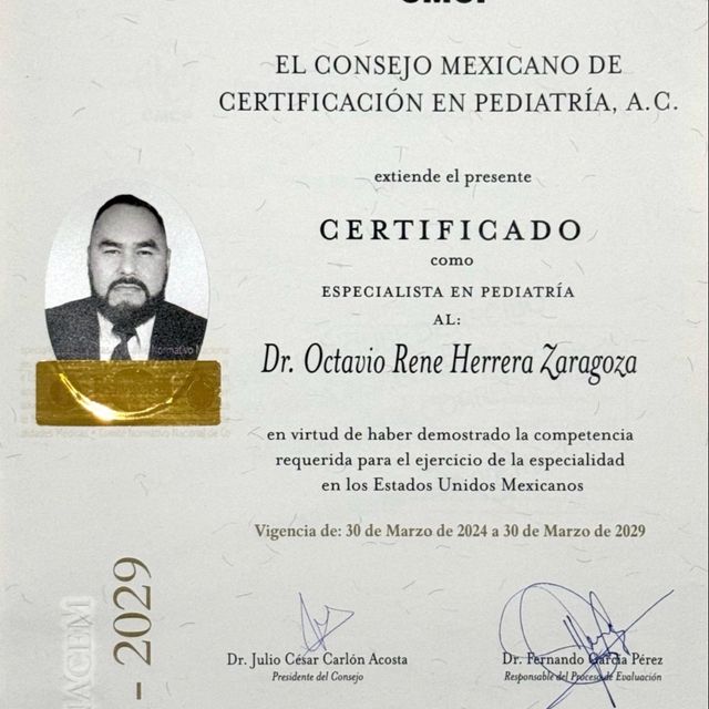 Ampliar imagen: certificate 1