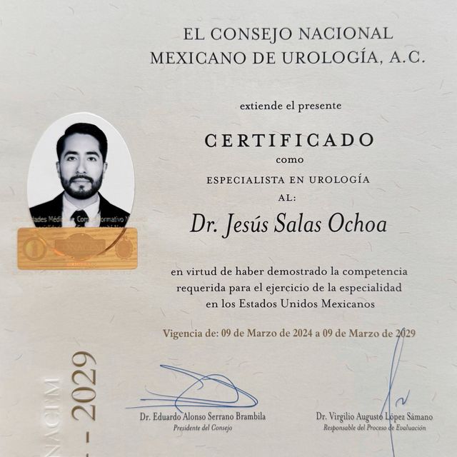 Ampliar imagen: certificate 1