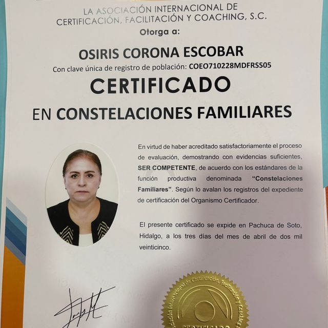 Ampliar imagen: certificate 1