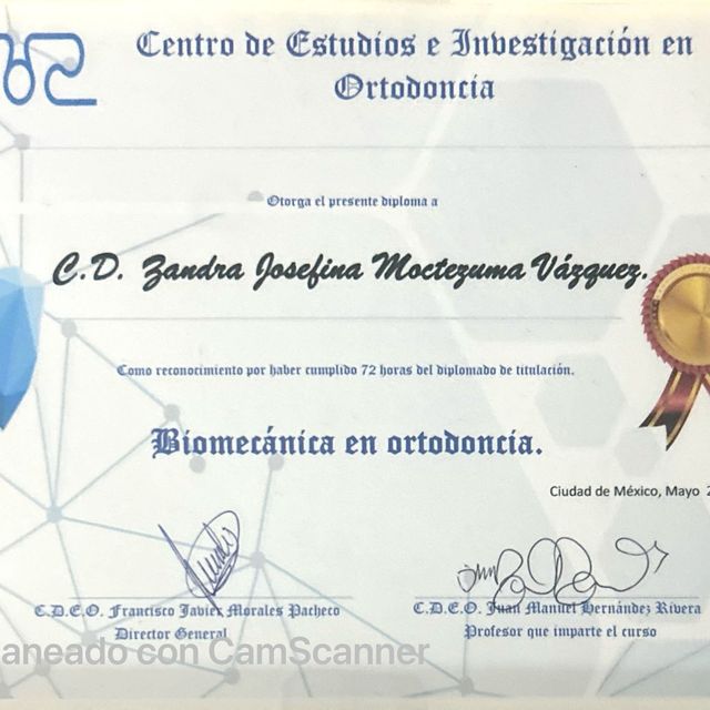 Ampliar imagen: certificate 4