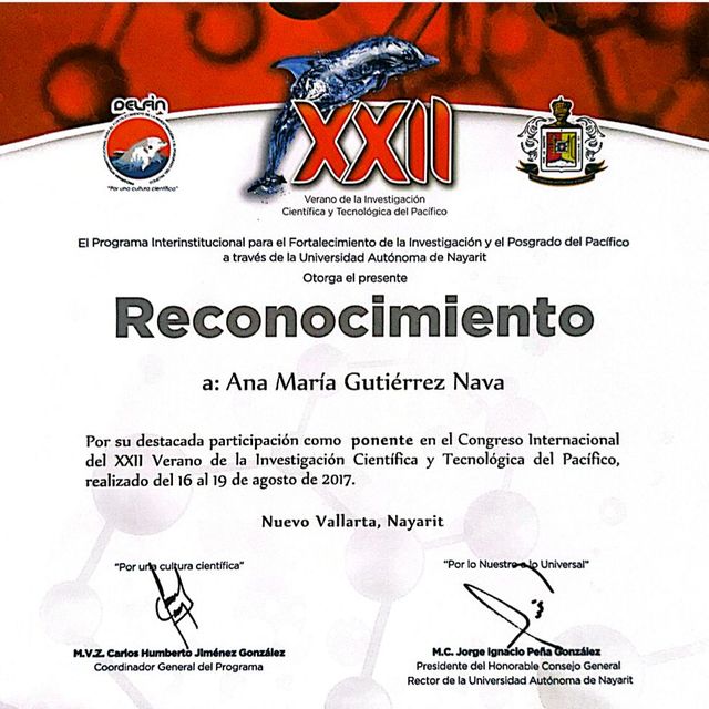 Ampliar imagen: certificate 13