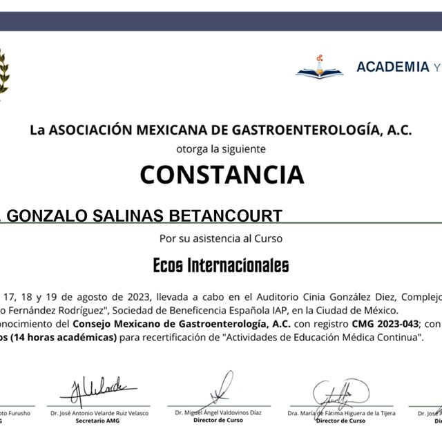 Ampliar imagen: certificate 1