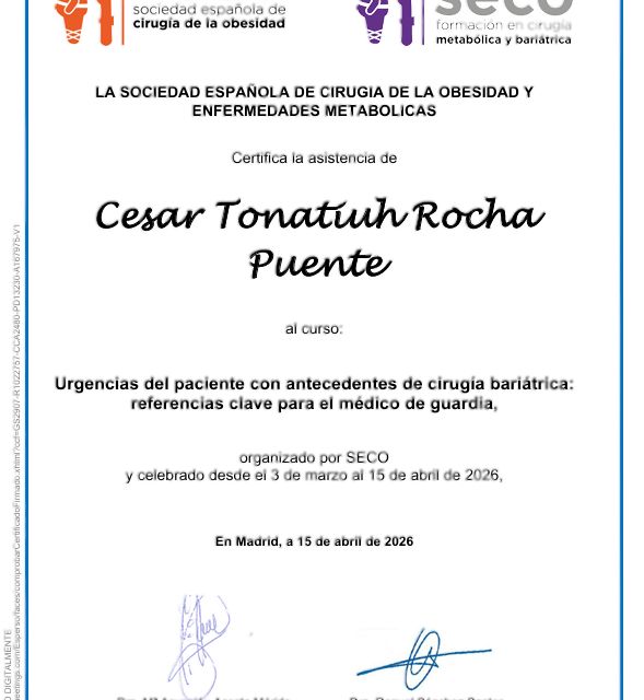 Ampliar imagen: certificate 69