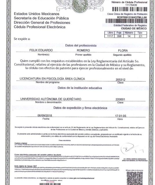 Ampliar imagen: certificate 7